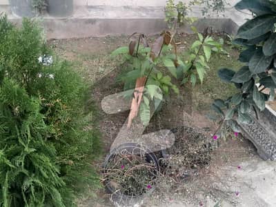 Beautifully Constructed Prime Location Residential Plot Is Available For Sale In Bismillah Housing Scheme - Jinnah Block