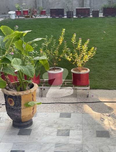 سوان گارڈن اسلام آباد میں 3 کمروں کا 12 مرلہ زیریں پورشن 61.0 ہزار میں کرایہ پر دستیاب ہے۔