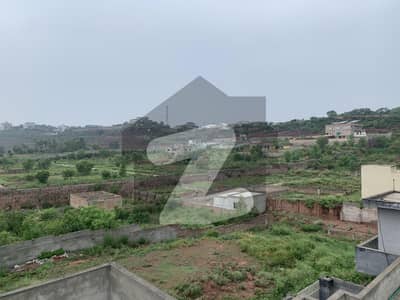 بنی گالہ اسلام آباد میں 6 مرلہ رہائشی پلاٹ 54.0 لاکھ میں برائے فروخت۔