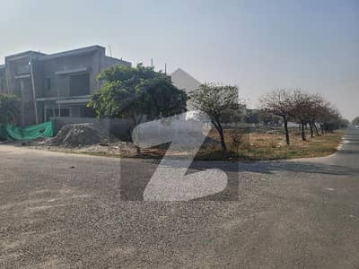 442 Y Block Corner Clear Pot Near McDonald's DHA Phase 7 20 Marla Plot for Sale