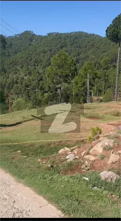 6 Marla Possession Plot for Sale on Main Expressway Murree | Fully Developed community