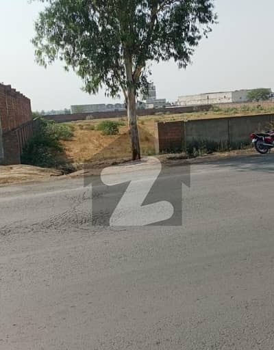 ملتان روڈ لاہور میں 24 کنال زرعی زمین 34.8 کروڑ میں برائے فروخت۔