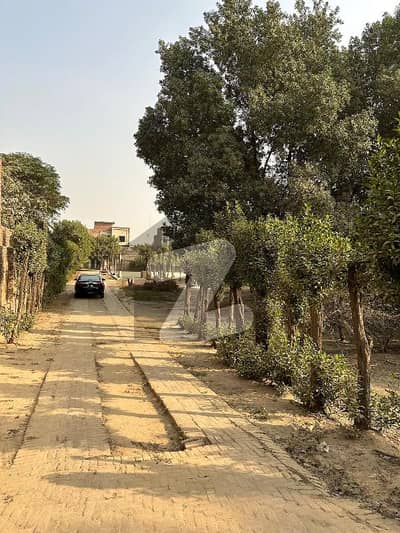 Premium Commercial Plot for Sale Sheikhupura Near NADRA Office