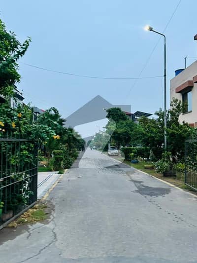 13.85 MARLA CORNER PLOT IN TULIP EXT BLOCK