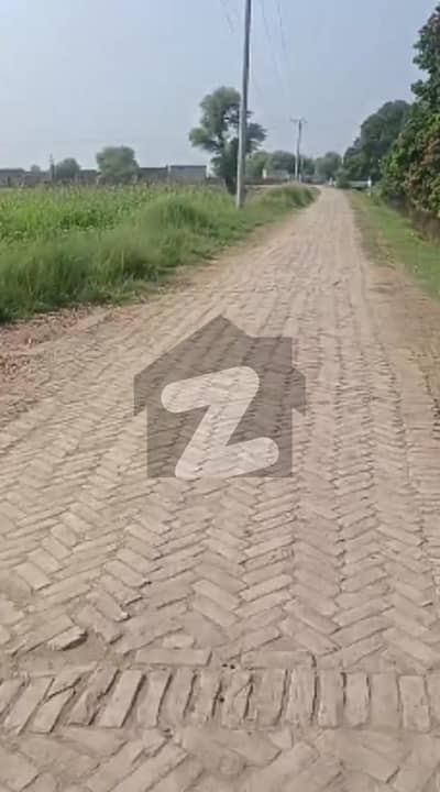 شجاع آباد ملتان میں 200 کنال زرعی زمین 25.0 کروڑ میں برائے فروخت۔