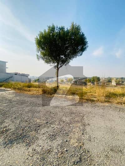Block v, 7 Marla Plot For Sale Gulberg Residencia Islamabad