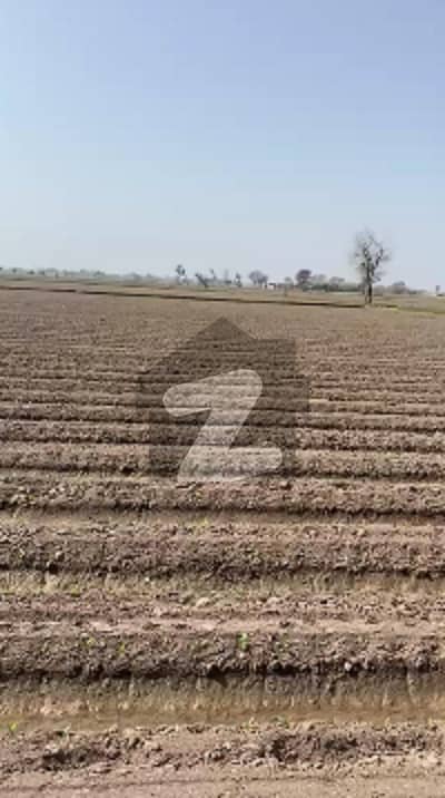 میٹیٹل روڈ ملتان میں 200 کنال زرعی زمین 17.5 کروڑ میں برائے فروخت۔