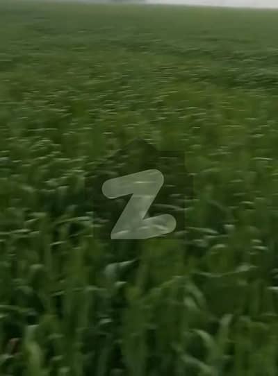 Agricultural Land Available For Sale