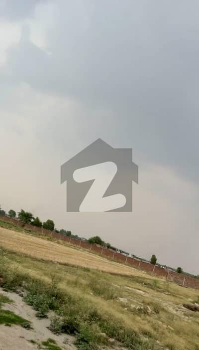 برکی روڈ کینٹ,لاہور میں 12 کنال زرعی زمین 6.0 کروڑ میں برائے فروخت۔