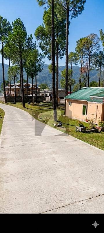 Premium 8 Marla Plot with Scenic Views in Hill Top Lodges Murree