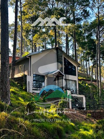 2 Kanal Ideal Plot in Premium Mountain Community