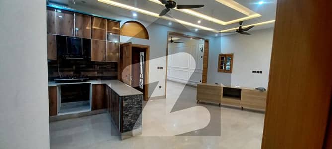 7 Marla Brand New Option Available On Rent At G-16