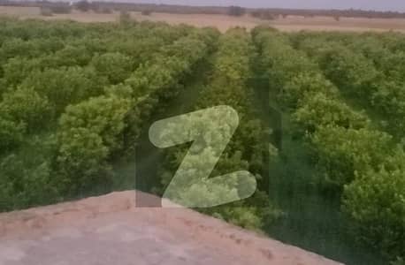 راوت انڈسٹریل اسٹیٹ راولپنڈی میں 124 کنال زرعی زمین 5.25 کروڑ میں برائے فروخت۔