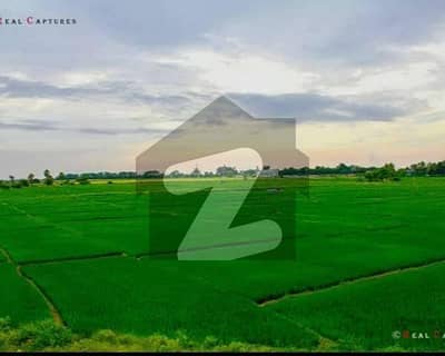 urgent for sale 56 kanal land at multan road Lahore
