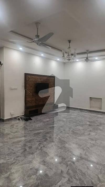 جی ۔ 11 اسلام آباد میں 3 کمروں کا 14 مرلہ بالائی پورشن 1.6 لاکھ میں کرایہ پر دستیاب ہے۔