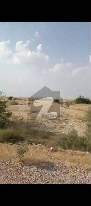 کراچی ۔ حیدرآباد موٹر وے کراچی میں 800 کنال زرعی زمین 15.0 کروڑ میں برائے فروخت۔