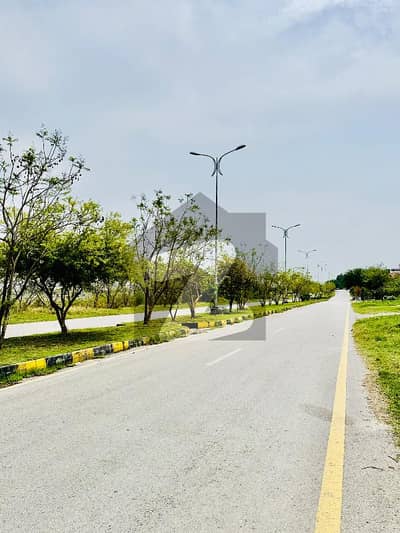 14 Marla Double Road Plot Available For Sale With Huge Extra land in D-12-3