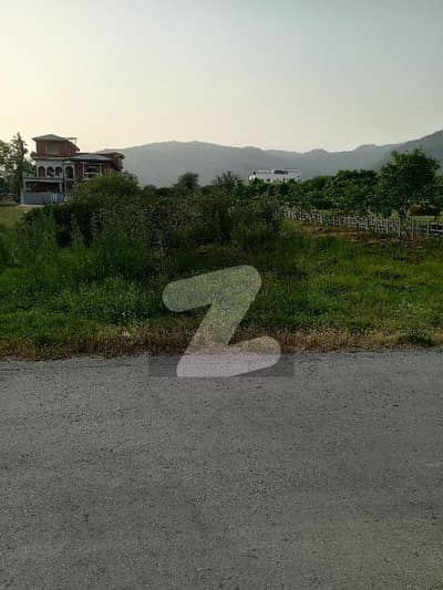 Plot For Sale in D-12/3