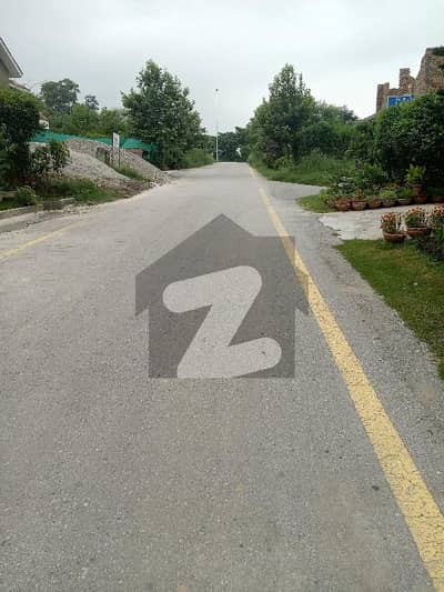 Plot For Sale in D-12/2