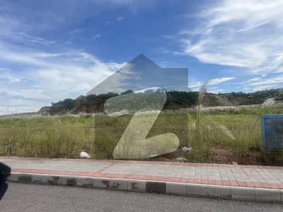 Investor rate plot with possession letter in sec D