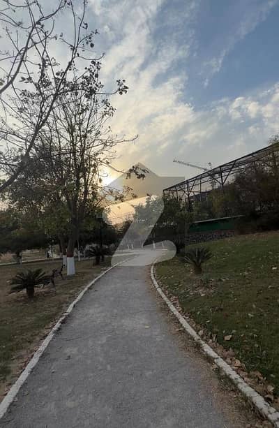 Faisal hills 10 Marla B block