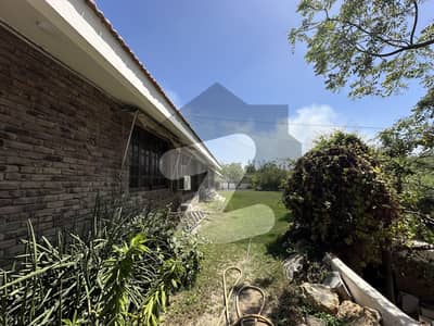 Prime Gizri 2500 Yards Bungalow For Rent Safe & Peaceful Living