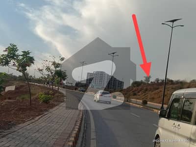 Top of the Hill, Selected Area