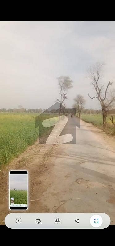 Beautiful Land For Sale 50 Acer Bahawalnagar