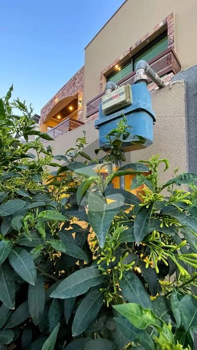 بحریہ ٹاؤن فیز 8 ۔ سیکٹر ایف - 1 بحریہ ٹاؤن فیز 8,بحریہ ٹاؤن راولپنڈی,راولپنڈی میں 4 کمروں کا 10 مرلہ مکان 1.3 لاکھ میں کرایہ پر دستیاب ہے۔