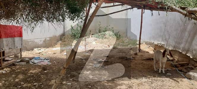 Residential Plot for Sale in Zeenatabad CHS Scheme 33