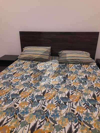 Brand New Apartment For Rent Fully Furnished 2bedroom DD With Lift