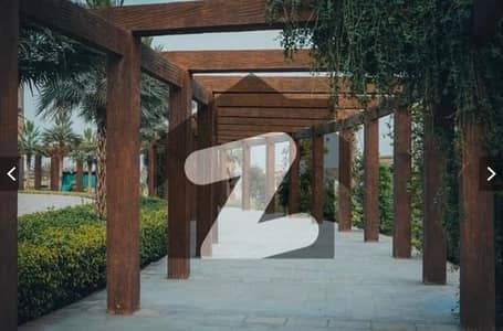 5-Marla PLOT For SALE CITIHOUSING samundri road Faisalabad.