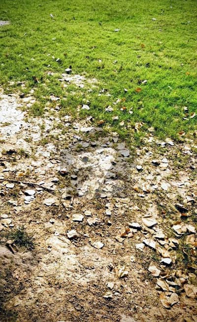 1 Kanal Plot For Sale