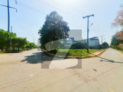 Corner 55 Marla Commercial Plot In Central College Road For sale