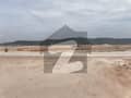 6 6
