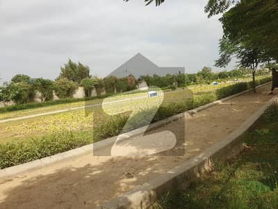 Brand New House Corner For Rent Ground + 1