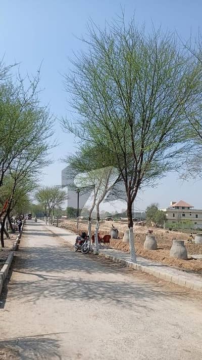 Farmhouse land for sale