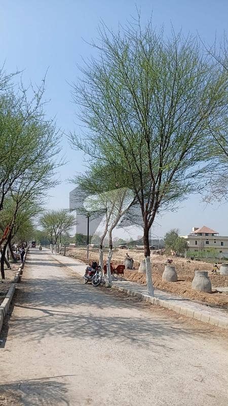 Farmhouse land for sale Farmhouse land for sale