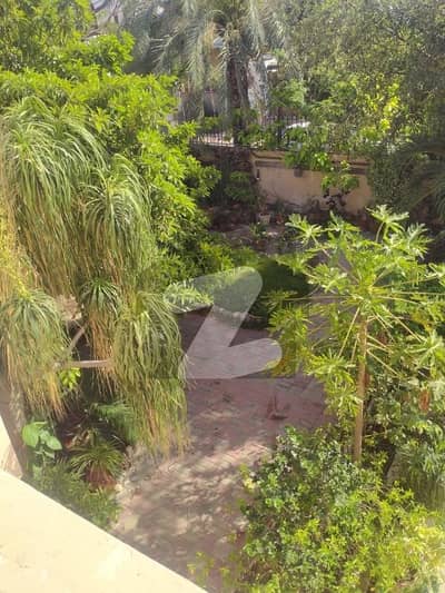 Bungalow For Rent Phase5 Mujhahid Street