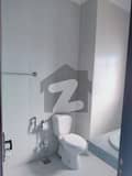 6 6