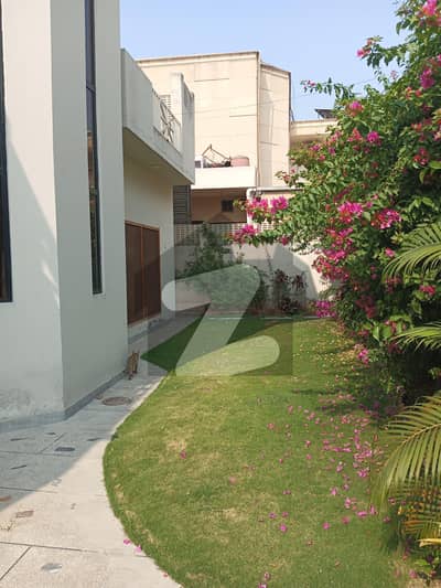 Two Kanal Single Storey House Available For Rent Best For Family residence