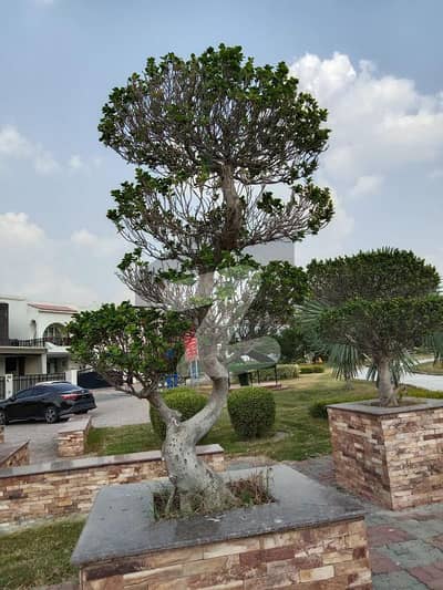 Prime 10 Marla Plot | Sector C3, Bahria Enclave | Premium Location