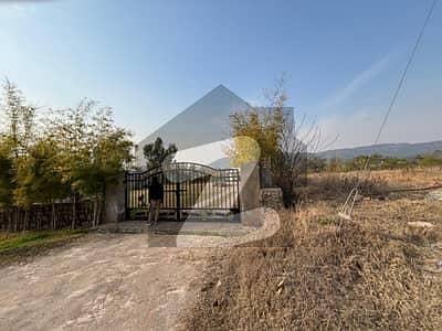 Buying A Corner Residential Plot In Rawalpindi?