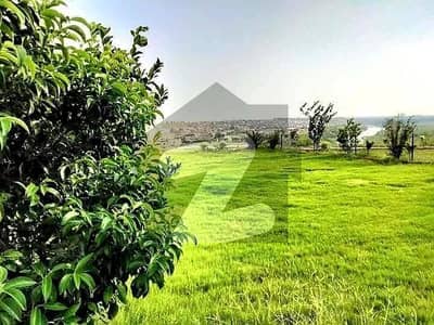 18 Marla investor Rate house double unit |10 Marla construction House 8 Marla Big Lawn | 440 Demand 18 Marla investor Rate house double unit |10 Marla construction House 8 Marla Big Lawn | 440 Demand