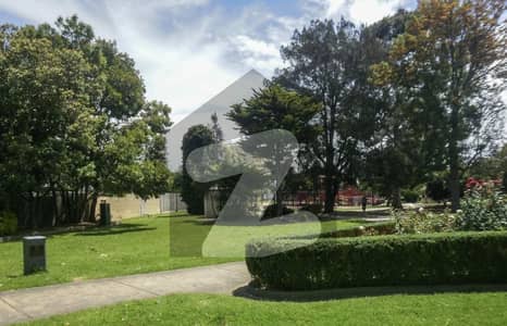 Sector shop Plot 2 Marla Phase 6C