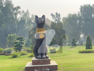 لو کاسٹ ۔ بلاک ای لو کاسٹ سیکٹر,بحریہ آرچرڈ فیز 2,بحریہ آرچرڈ,لاہور میں 9 مرلہ رہائشی پلاٹ 65.0 لاکھ میں برائے فروخت۔