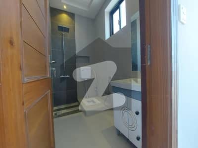 6 Marla Brand New Ground Portion For Rent .