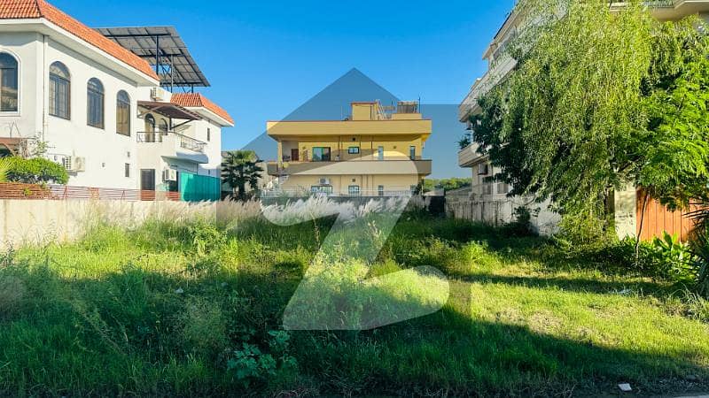 MAIN DOUBLE ROAD PLOT AT REASONABLE PRICE MAIN DOUBLE ROAD PLOT AT REASONABLE PRICE