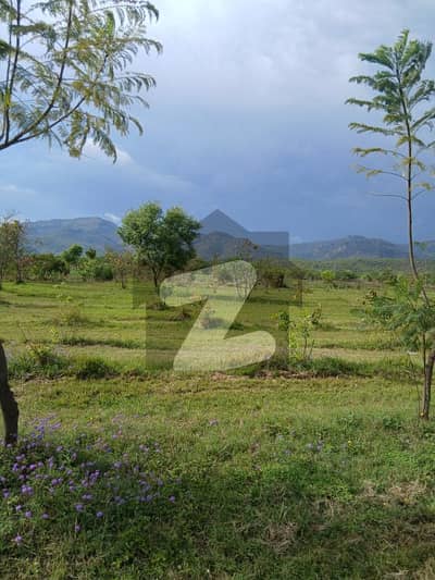 D-12/4 Main Double Road Plot For Sale D-12/4 Main Double Road Plot For Sale