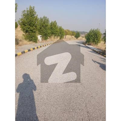 Beck Open Plot Good Location